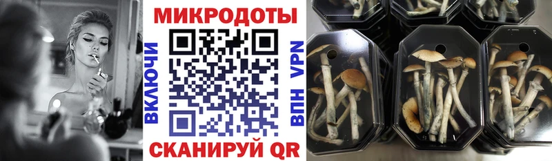 Купить где  Междуреченск  Галлюциногенные грибы мухоморы 